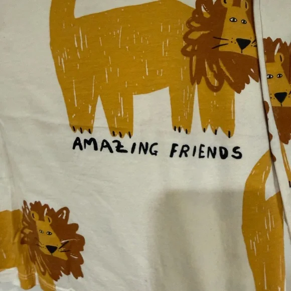 Zara Lion Amazing Friends Set 4T - Picture 5 of 8